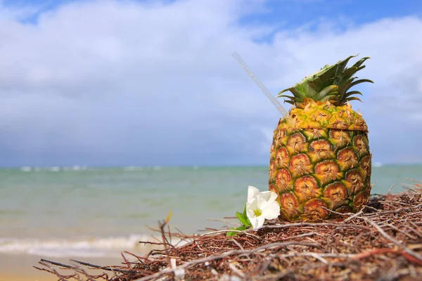 Cocktail d'ananas tropicaux à la plage des Caraïbes — Photo