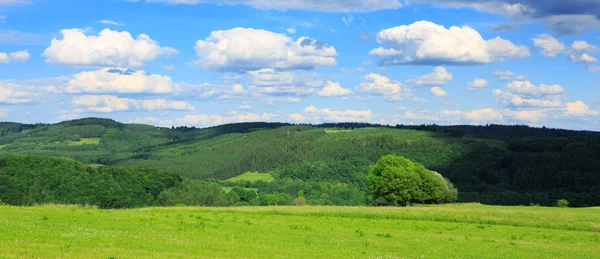 Campo con hierba verde y cielo azul con nubes . — Foto de Stock