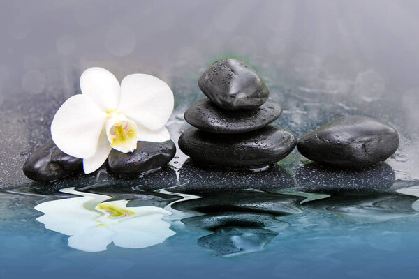 White orchid flowers reflected in the water. Spa background.