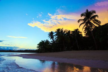 Hindistan cevizi hurma ağaçları ile tropik gündoğumu.