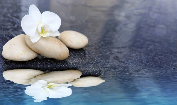 Flor de orquídea blanca y piedra de spa reflejadas en el agua . — Foto de Stock