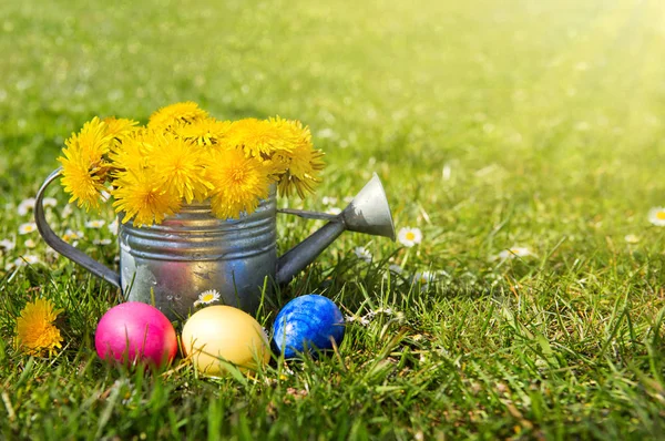 Easter eggs and watering can with flowers. Easter background. — Stock Photo, Image