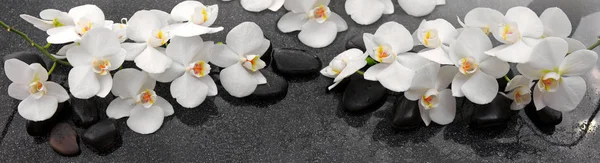 Flores de orquídeas blancas y piedras de spa  . — Foto de Stock