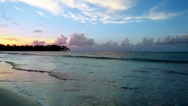 Atardecer caribeño en playa tropical . — Vídeos de Stock