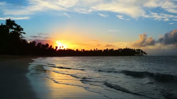 Caribbean sunset on tropical beach. — Stock Video