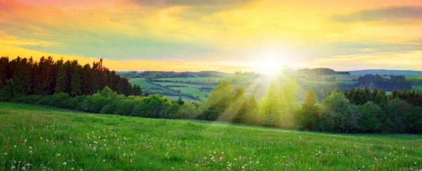 Sunset over the green large field. — Stock Photo, Image