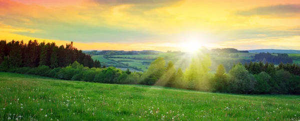 Sunset over the green large field. Royalty Free Stock Images