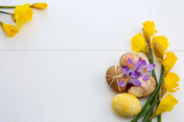 Uova di Pasqua colorate e narcisi gialli . — Foto Stock