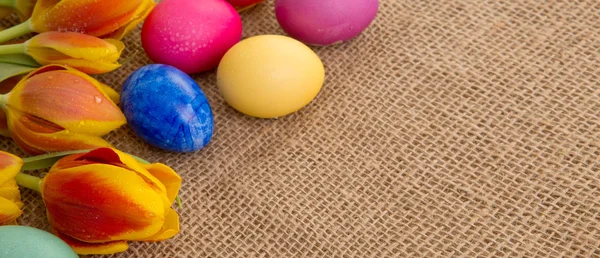 Tulipanes de primavera con coloridos huevos de Pascua . — Foto de Stock