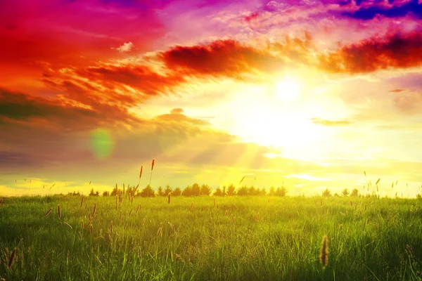 Pôr do sol de primavera sobre o campo verde . — Fotografia de Stock