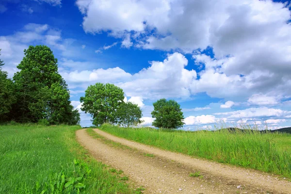 Дорога з зеленим полем і блакитним небом  . — стокове фото