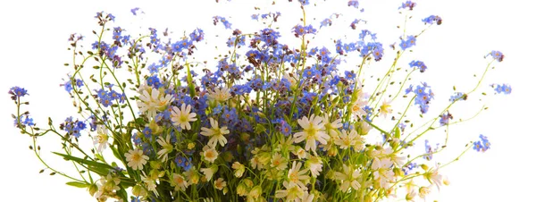 Ramo de flores silvestres de primavera  . — Foto de Stock