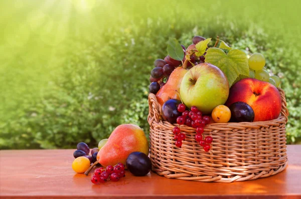 Fruit basket isolated . — Stock Photo, Image