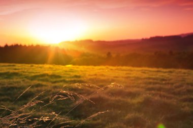 Kara Orman sisin üzerinde gündoğumu.