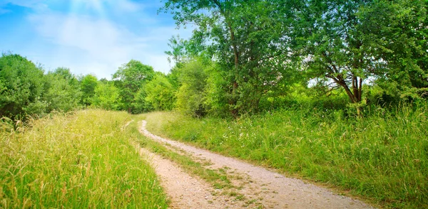 Estrada e prado verde . — Fotografia de Stock