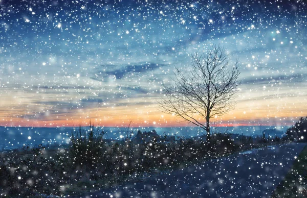 雪树和降雪。 冬季天空背景. — 图库照片