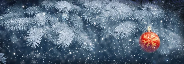 Χριστουγεννιάτικη μπάλα σε μπλε κλαδιά πεύκου και χιονόπτωση. — Φωτογραφία Αρχείου
