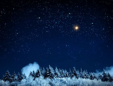 Kış ormanlarında yıldızlar ve ağaçlarile Noel arka plan.