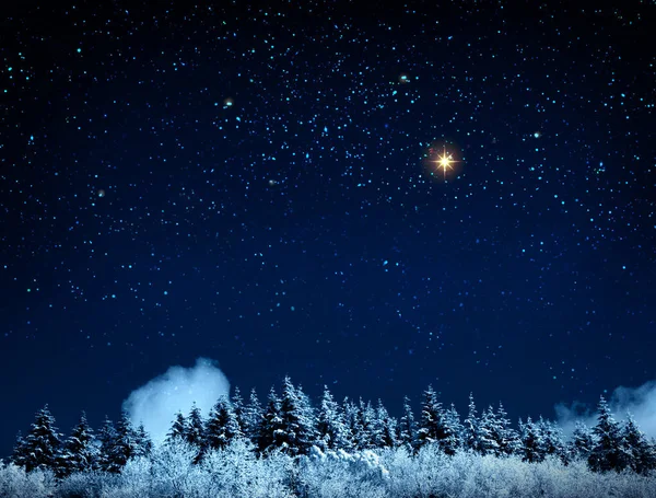 Christmas background with stars and trees in winter forest. — Stock Photo, Image