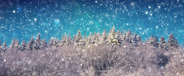 圣诞节背景与雪杉树和降雪. — 图库照片