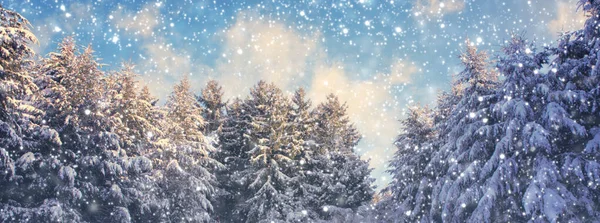 Paesaggio invernale con abeti e nevicate. Sfondo invernale . — Foto Stock