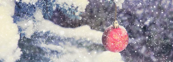 Kerstbal hangend aan een Fir Tree Branch. Kerstachtergrond. — Stockfoto