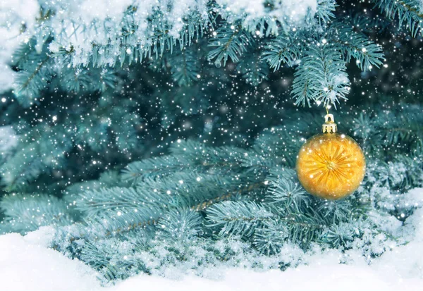 Bola de Navidad colgando de una rama de abeto. Fondo de Navidad. — Foto de Stock
