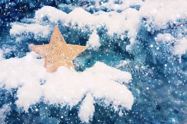 Κίτρινο Χριστουγεννιάτικο αστέρι πάνω στο χιόνι. Χειμερινό υπόβαθρο. — Φωτογραφία Αρχείου