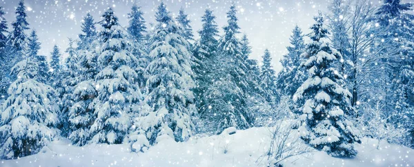 Winterlandschap met besneeuwde dennenbomen. Winterachtergrond. — Stockfoto