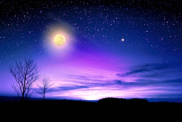 Gece gökyüzü ve büyük dolunayı olan güzel bir manzara. Doğa manzarası. — Stok fotoğraf