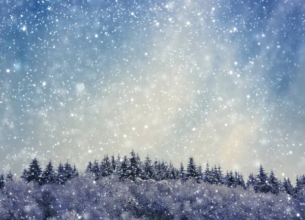 Winter wonderland with fir trees and snowfall. — Stock Photo, Image