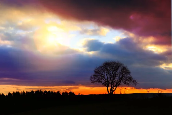 Bunte Sonnenuntergang mit Baum und Windrädern .nature Hintergrund. — Stockfoto