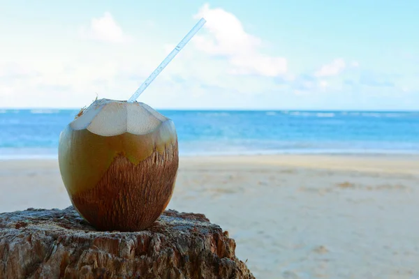 Coco frais avec une paille sur une plage de sable — Photo