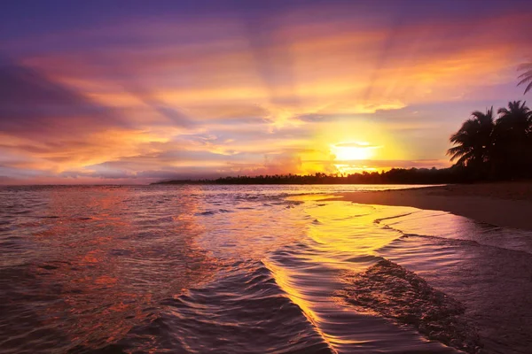 Coucher de soleil tropical avec cocotiers et océan . — Photo