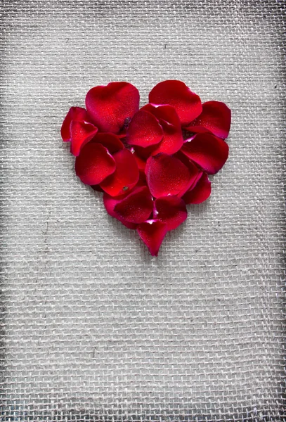 Czerwone serce płatków róż odizolowanych na tle tkaniny. — Zdjęcie stockowe