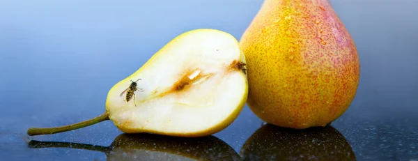 Abeja sobre una pera madura en otoño.Fondo otoñal . —  Fotos de Stock