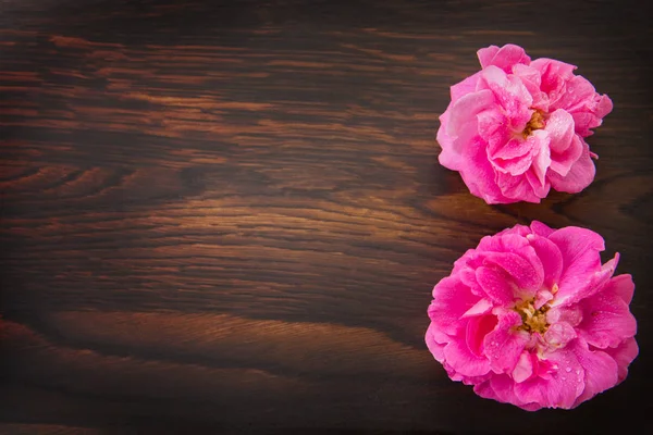 棕色木制背景上的粉红色玫瑰。复制空间 — 图库照片