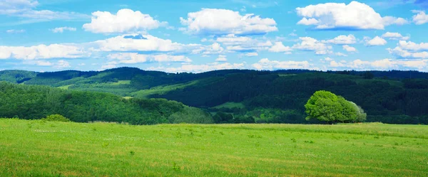 Campo de verano con cielo azul y grandes nubes blancas. — Foto de Stock