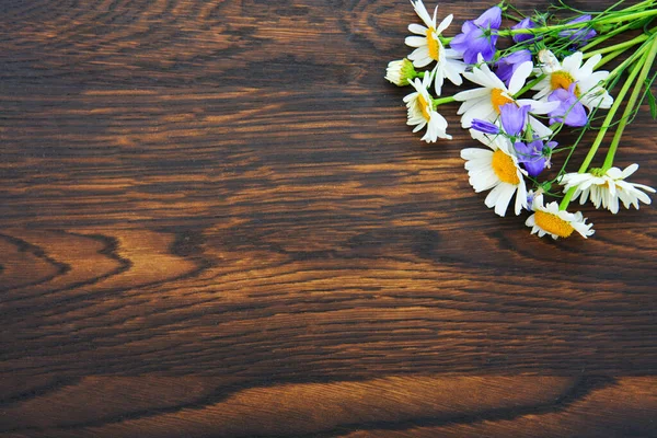 White daisie flowers on wooden plank. Summer background. — Stock Photo, Image