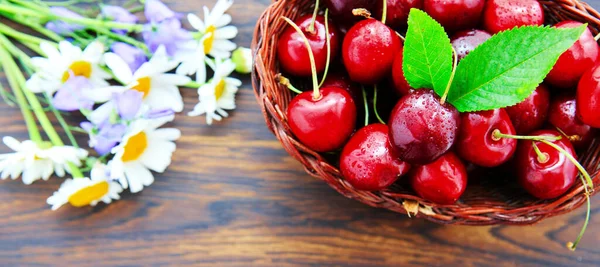 Kirschen im Korbtopf und Gänseblümchen auf altem Holzgrund. — Stockfoto