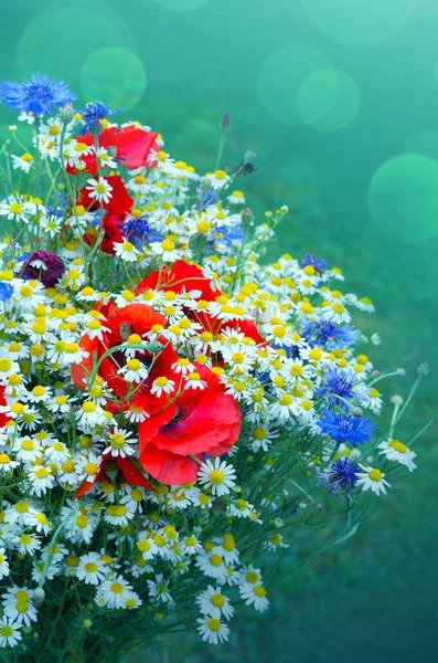 Wilder Blumenstrauß mit Gänseblümchen und Kornblumen. — Stockfoto
