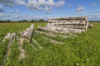 Ham madde yığını.