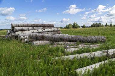 Ham madde yığını.