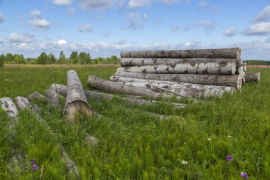 Ham madde yığını.