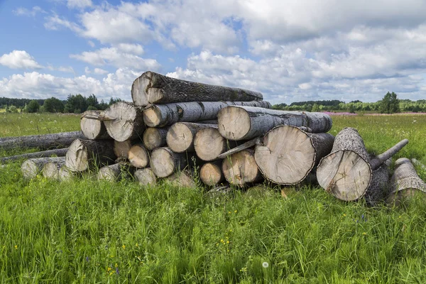 Högen av råvaror. — Stockfoto