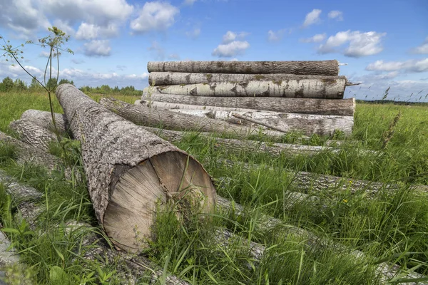 Ham madde yığını.