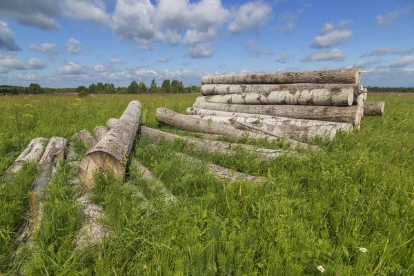 Ham madde yığını.