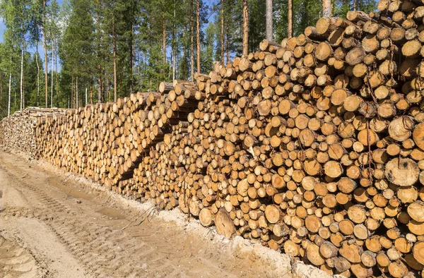 Opslag van hout voor verwerking. — Stockfoto