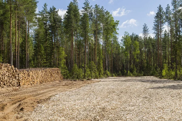 Storage of timber for processing. Royalty Free Stock Photos