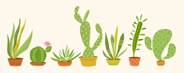 Différents types de plantes de maison — Image vectorielle